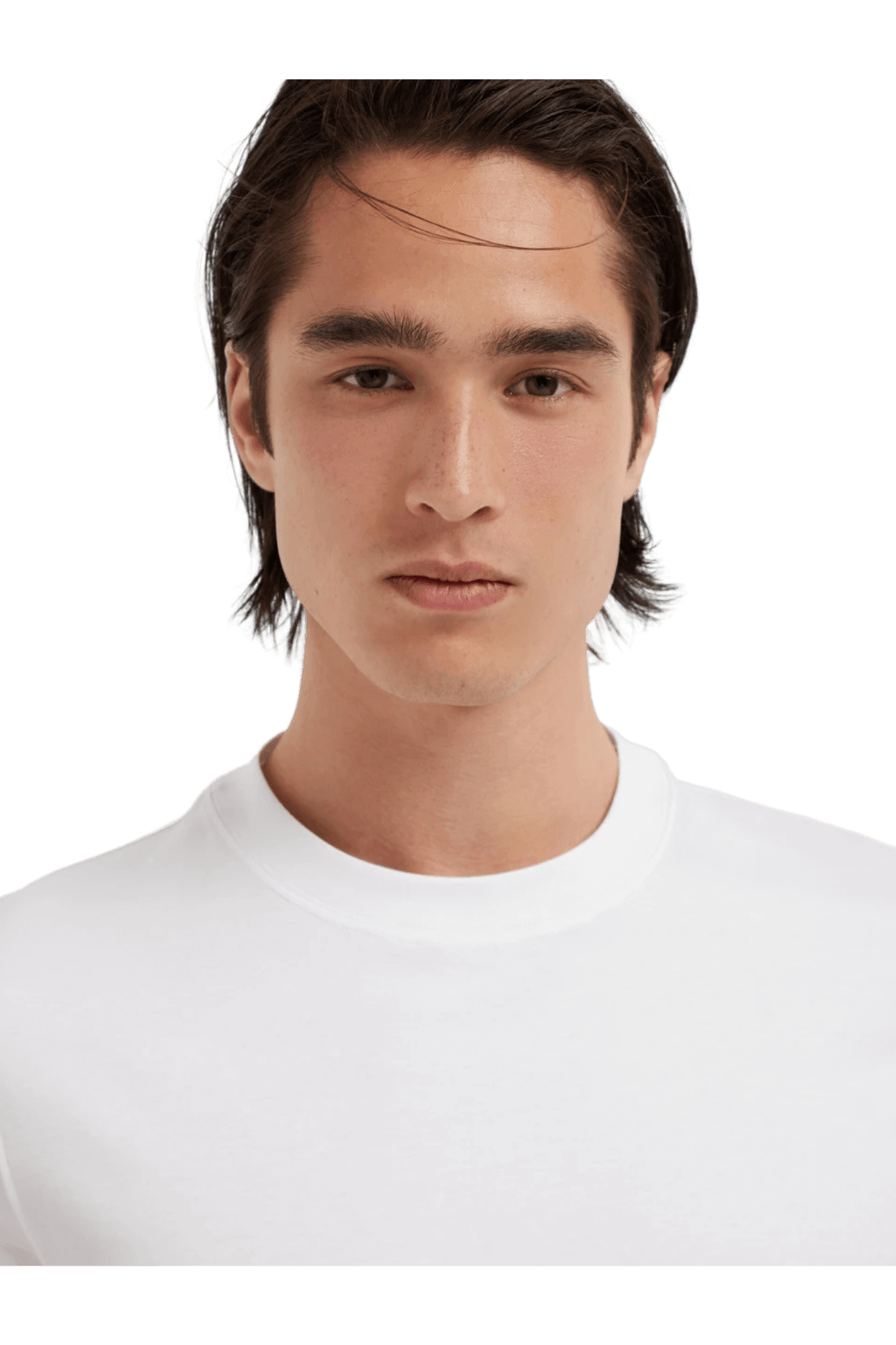 <tc>Brunello Cucinelli</tc> เสื้อยืดคอกลมผ้าคอตตอนเจอร์ซีย์สำหรับผู้ชาย