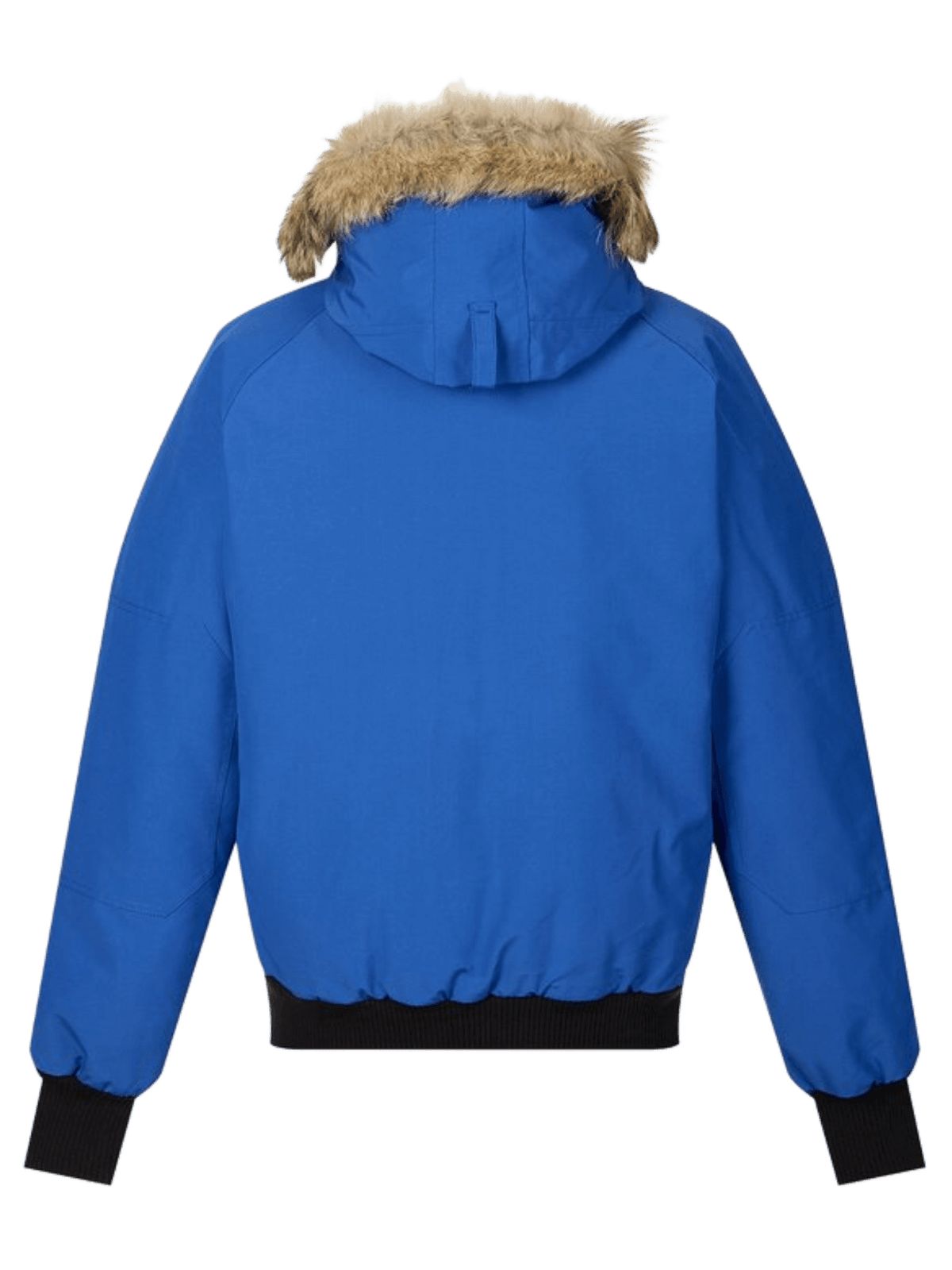 Canada Goose 女士PBI Chilliwack飞行夹克Heritage版
