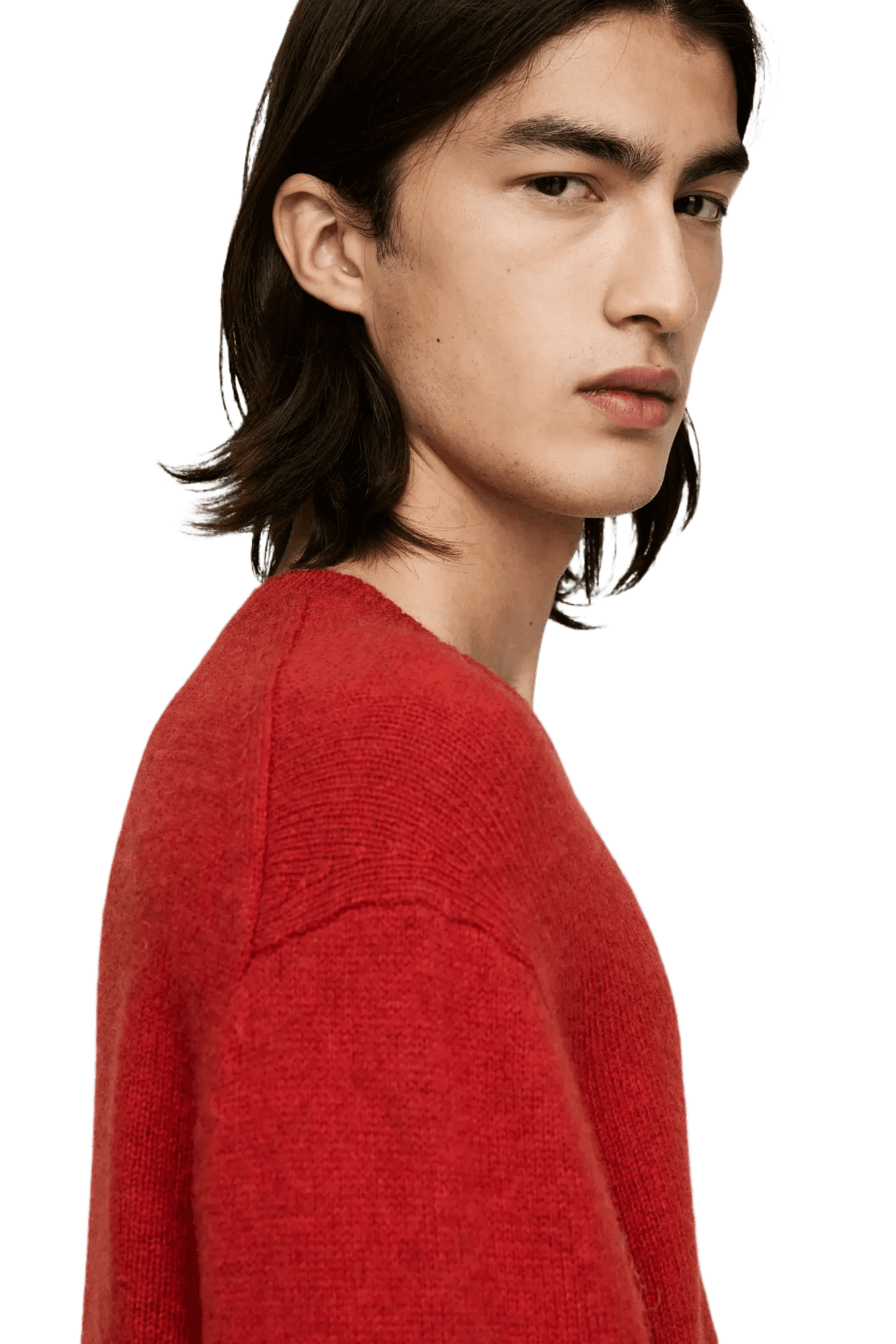 <tc>Arket</tc> Jersey de lana con cuello redondo para hombre
