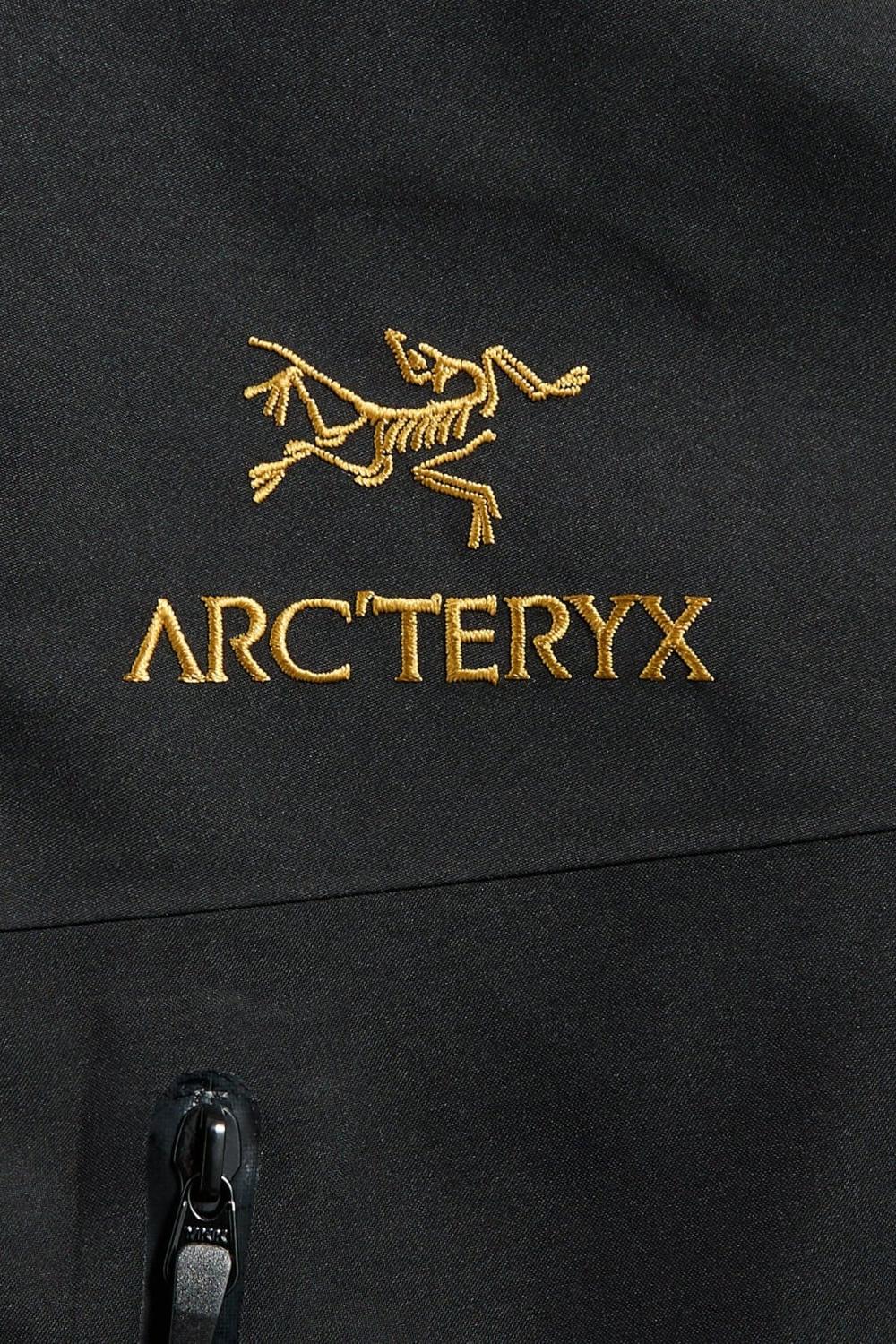 Arc'teryx Men's Alpha SV Jacket – Kinship