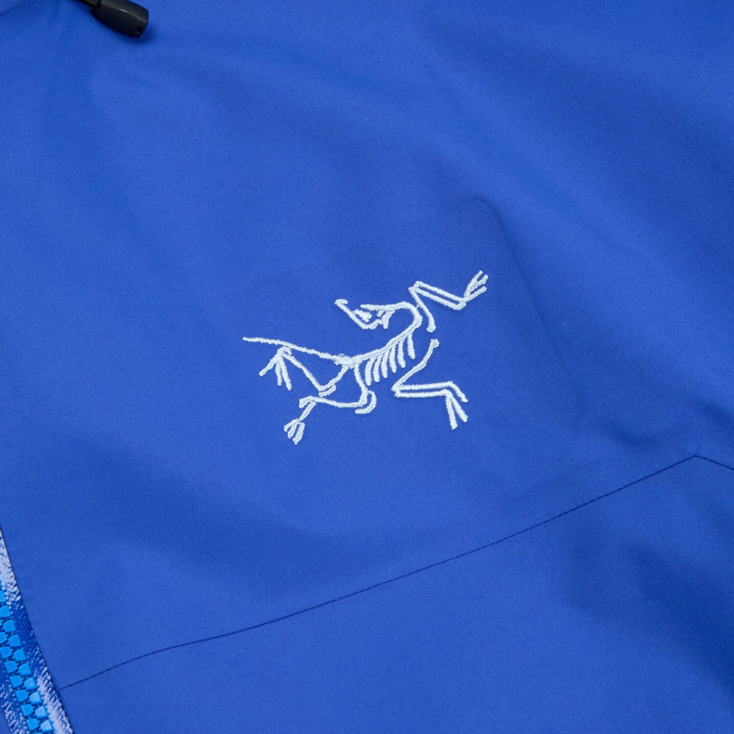 Arc'teryx Men's Beta SV Jacket