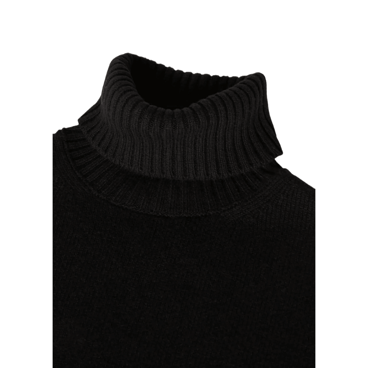 <tc>Loro Piana</tc> Parksville 女士高領衫