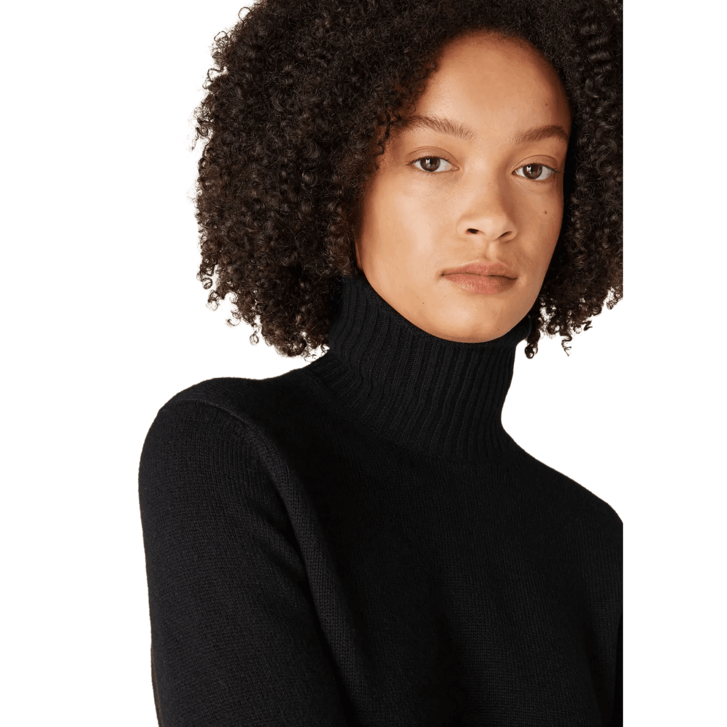 <tc>Loro Piana</tc> Parksville 女士高領衫