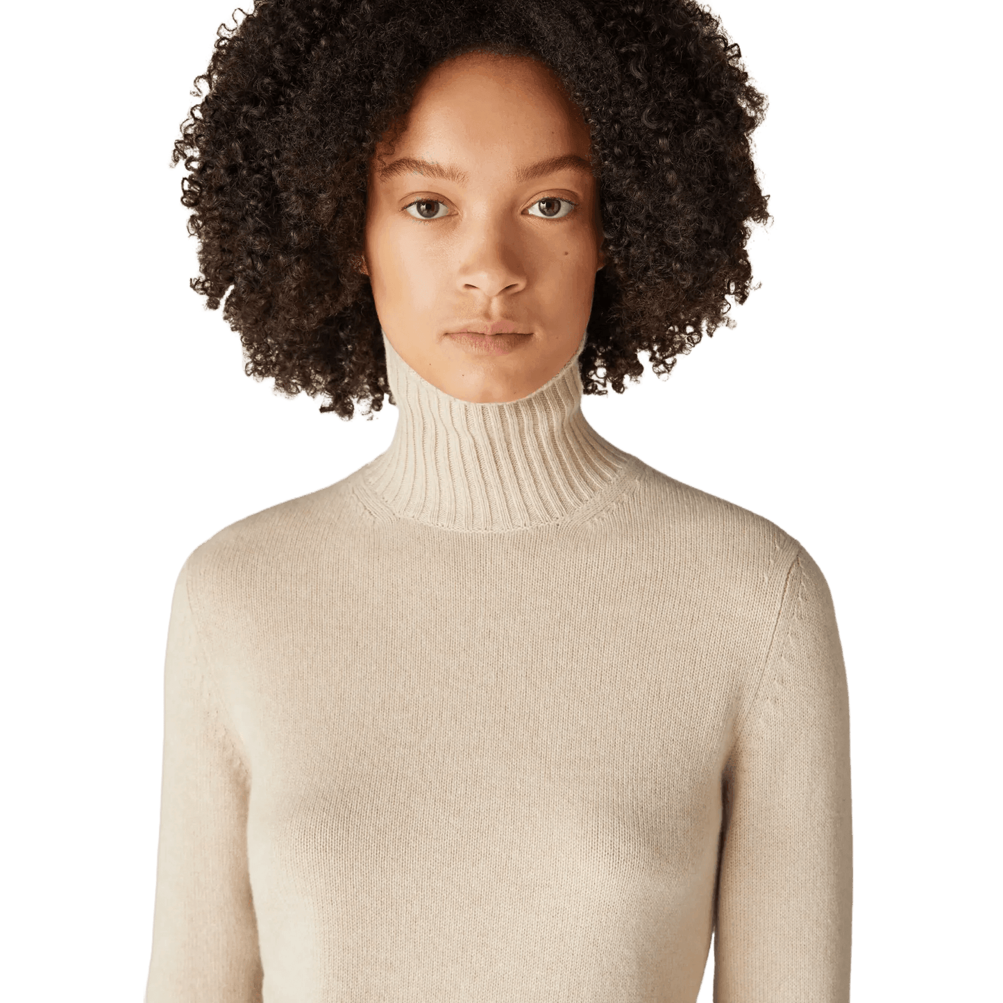 <tc>Loro Piana</tc> Parksville 女士高領衫