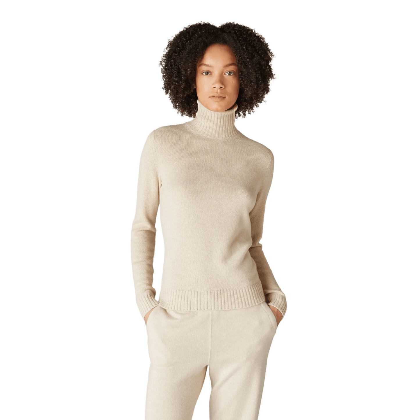 <tc>Loro Piana</tc> Parksville 女士高領衫