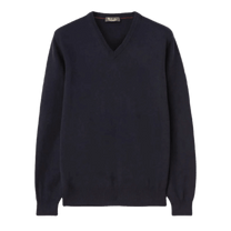 <tc>Loro Piana</tc> Col en V classique pour homme
