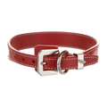 files/GOY35395_1_enlarged_1_04e200da-7ac0-4e61-a1ab-c40499430d1a.png