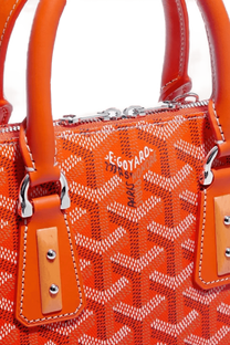 Goyard Vendôme Mini bag