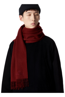 Loro Piana Grande Unita Cashmere Scarf in Cinnabar, Worn by Model