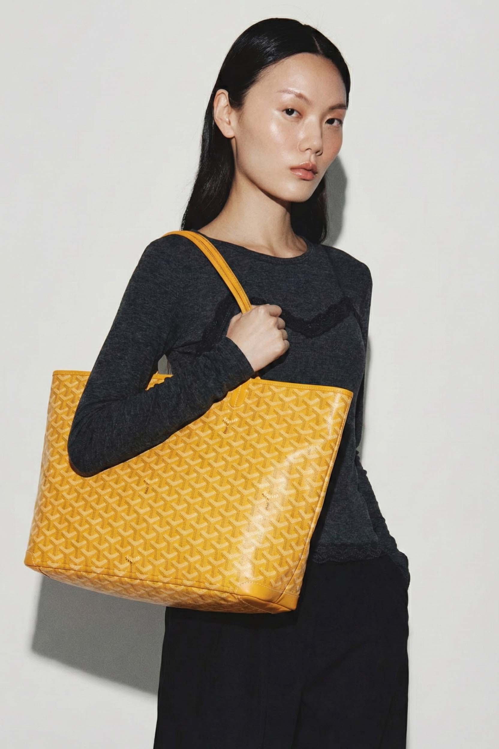 Goyard Artois MM Bag – Kinship JP