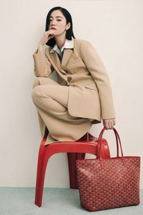 Goyard Artois MM Bag