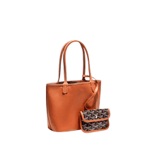 Goyard Anjou Mini bag