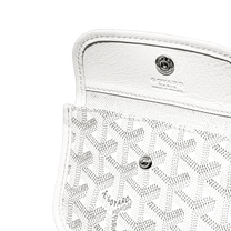 Goyard Anjou Mini bag