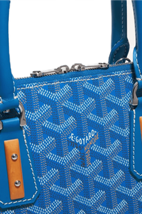 Goyard Vendôme PM bag