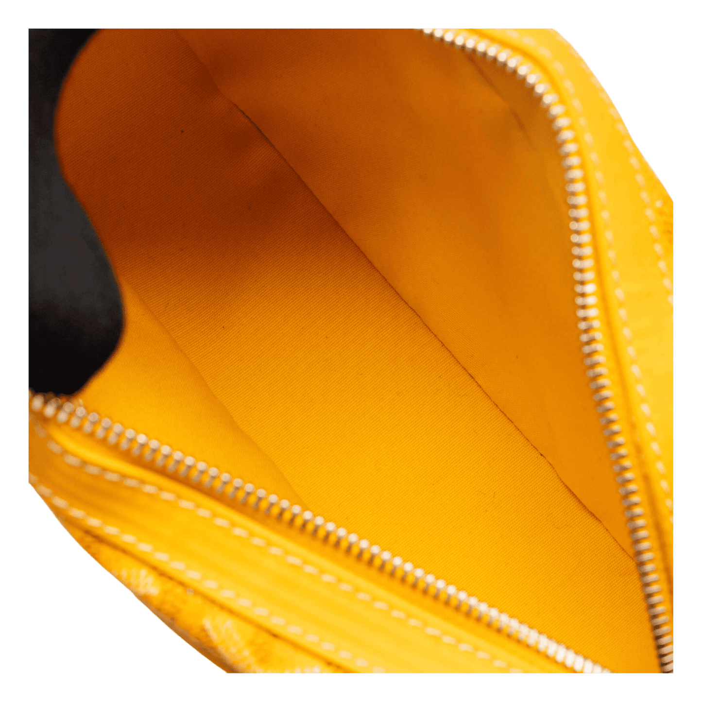 Goyard Cap-Vert PM Bag