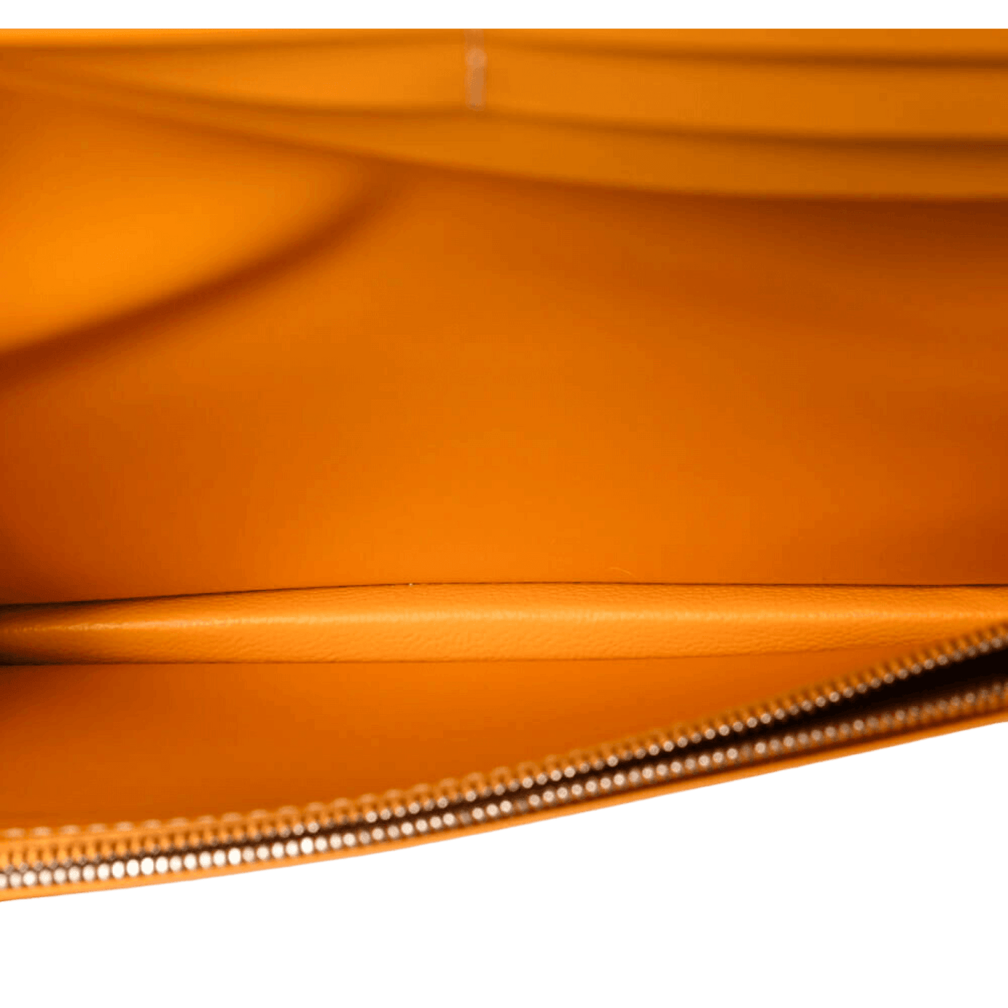 Goyard Richelieu Wallet