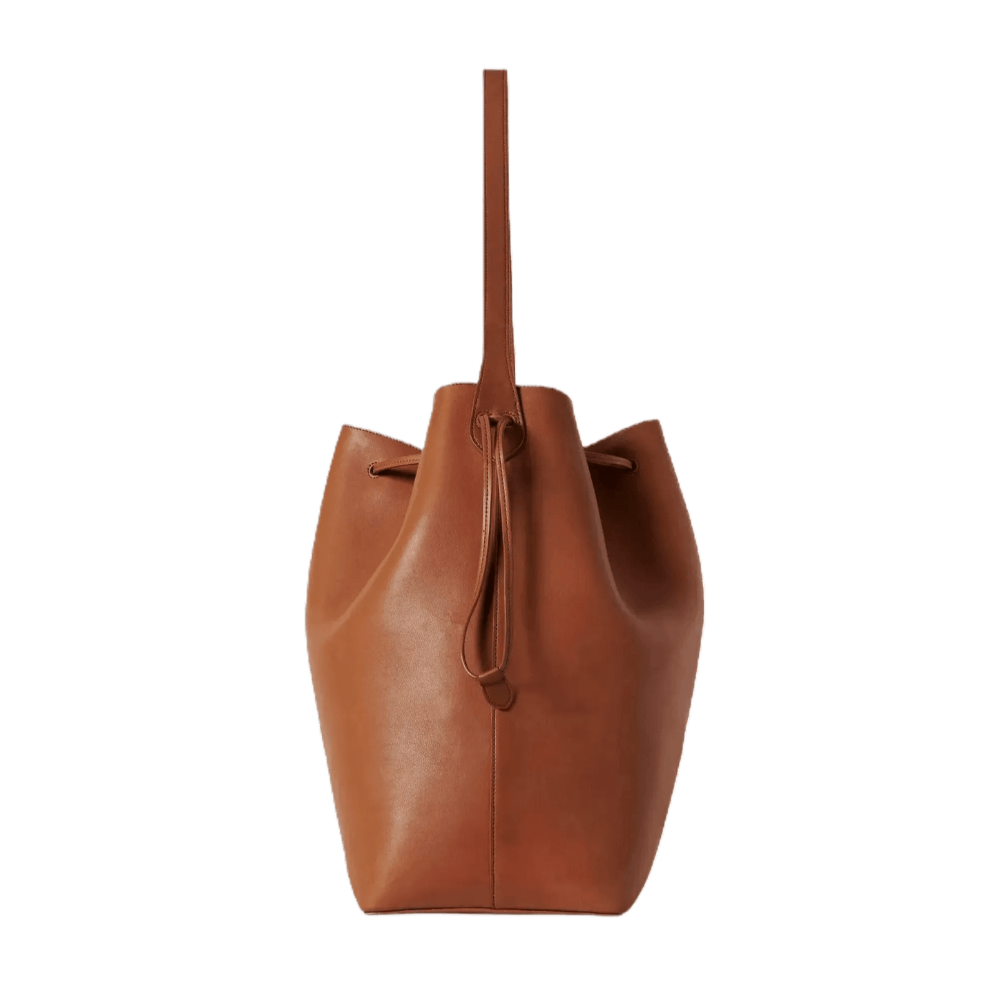 The Row Belvedere Tote Bag in Leather