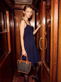Goyard Anjou Mini bag - Black & Tan - Model photo