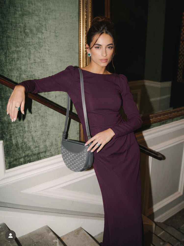 Goyard Hirondelle bag - Grey - Model photo